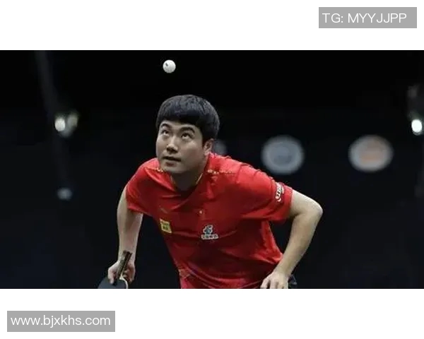 乒乓球传奇杨磊的成长之路与职业生涯深度对话