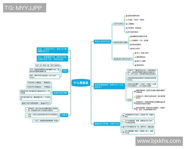 深入分析上海羽毛球队反击战术的独特魅力与实战应用
