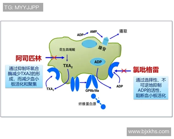 运动损伤防治新策略：从预防到康复的全面分析与实践指南